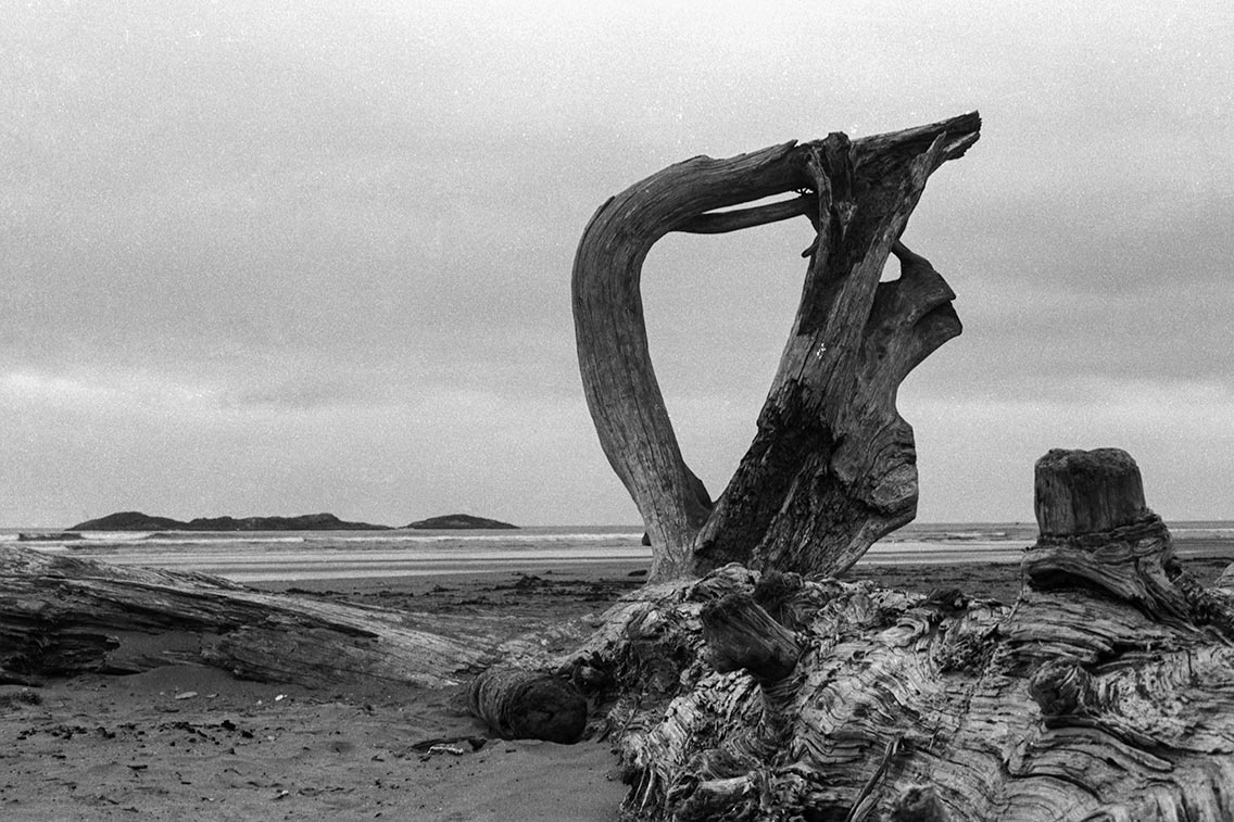 Driftwood, Vancouver Island, 1994