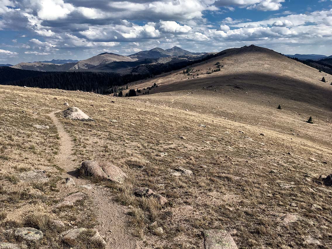 Continental Divide Trail above Monarch Pass Colorado